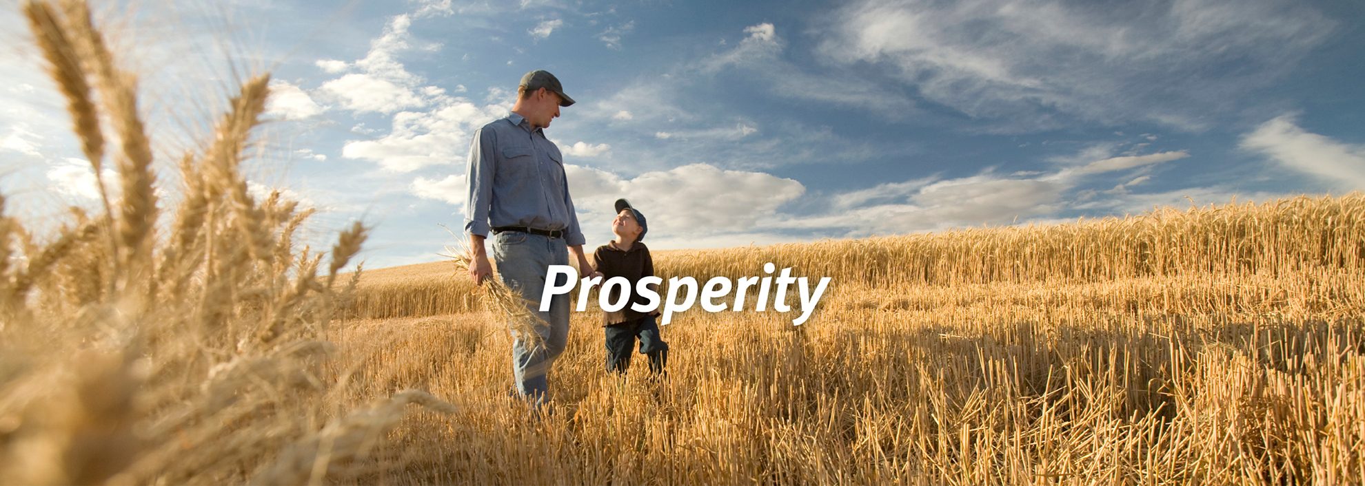 Prosperity