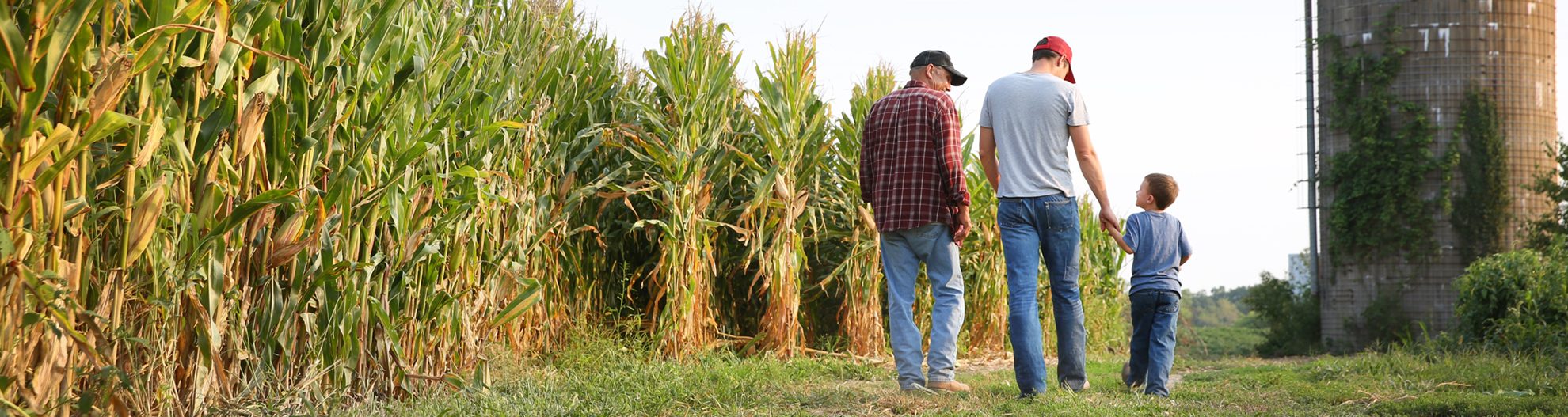 three generation farm family near corn field and silo